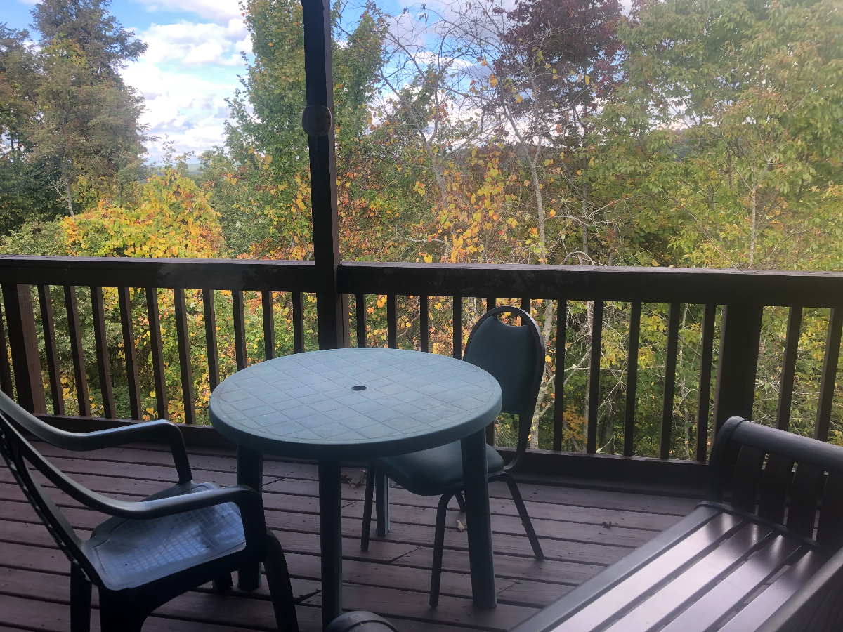Condos at Winterplace between Beckley and Princeton, quiet with mountain views E303