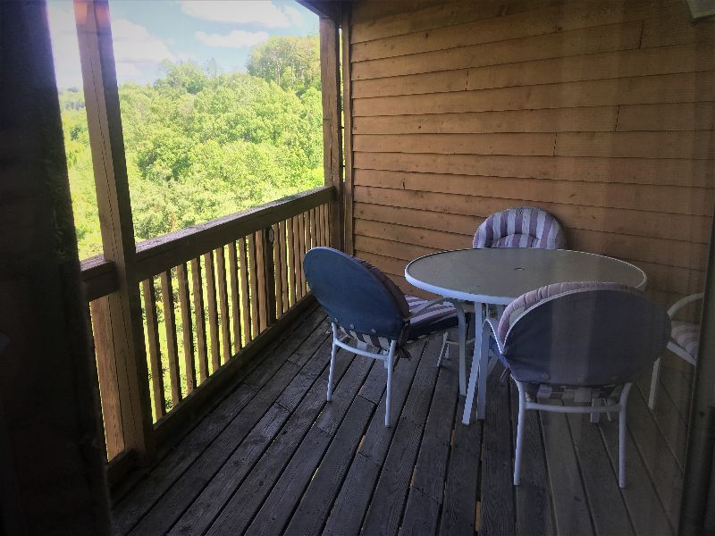 Condos at Winterplace between Beckley and Princeton, quiet with mountain views E306 - Photo 7