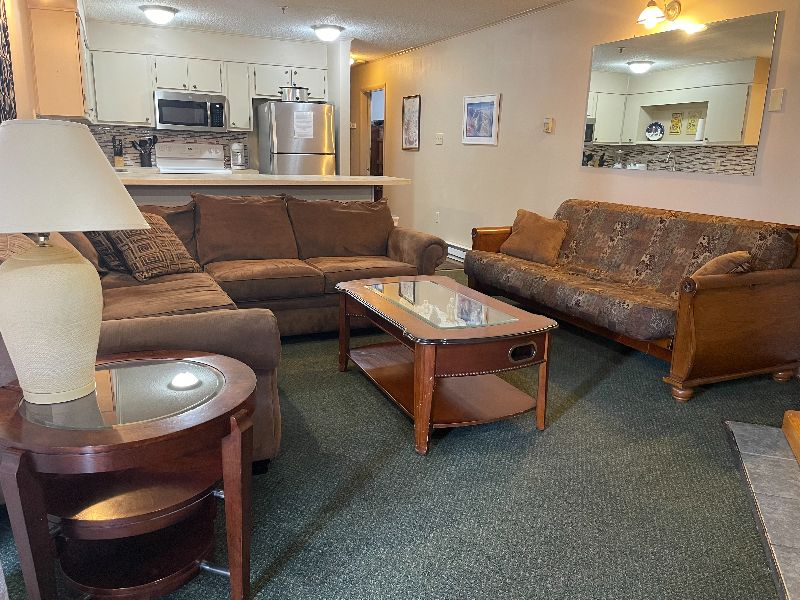 Condos at Winterplace between Beckley and Princeton, quiet with mountain views E306 - Photo 3
