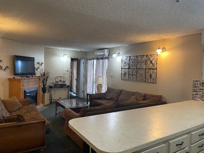 Condos at Winterplace between Beckley and Princeton, quiet with mountain views E306 - Photo 2