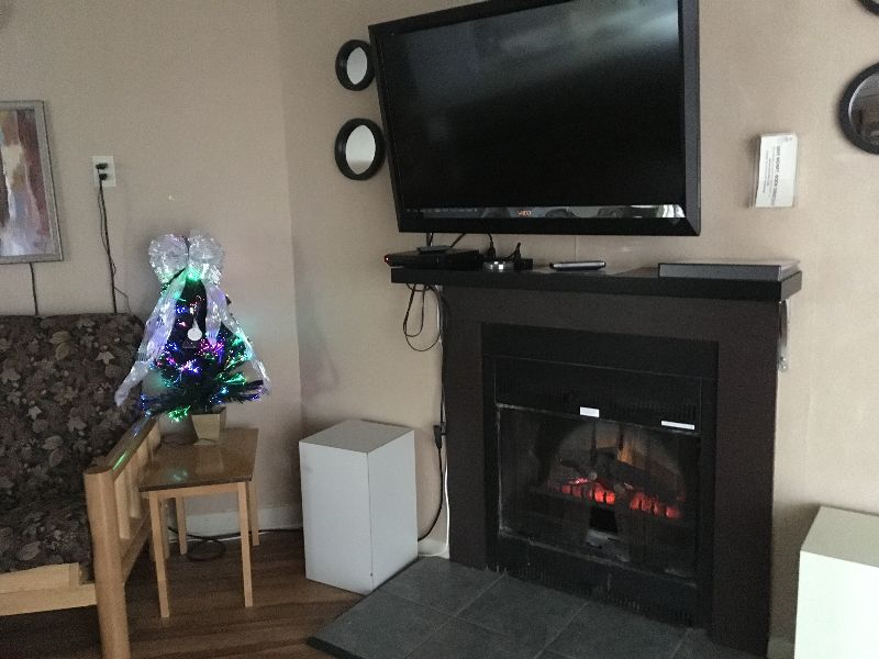 Condos at Winterplace between Beckley and Princeton, quiet with mountain views E306 - Photo 4