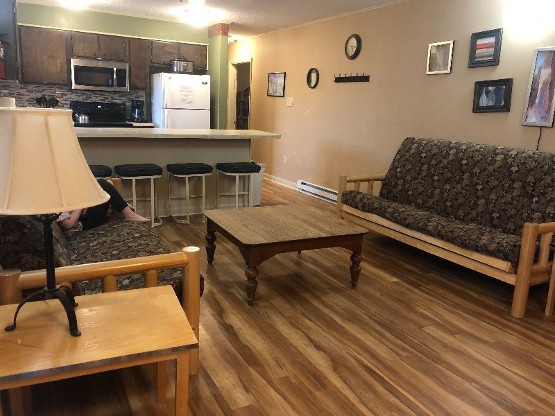 Condos at Winterplace between Beckley and Princeton, quiet with mountain views E306 - Photo 3
