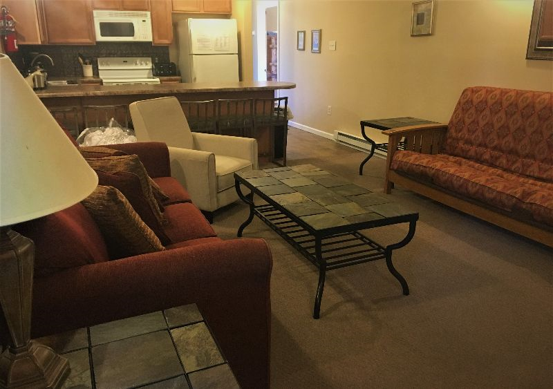 Condos at Winterplace between Beckley and Princeton, quiet with mountain views E306 - Photo 3