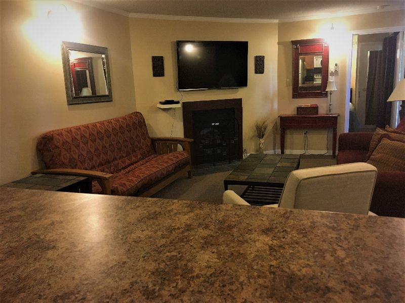 Condos at Winterplace between Beckley and Princeton, quiet with mountain views E306 - Photo 2