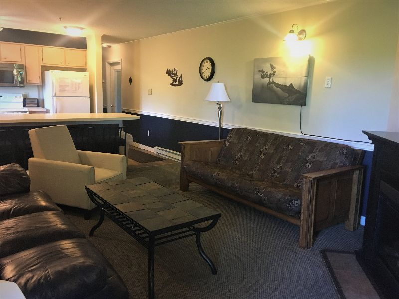 Condos at Winterplace between Beckley and Princeton, quiet with mountain views E306 - Photo 3