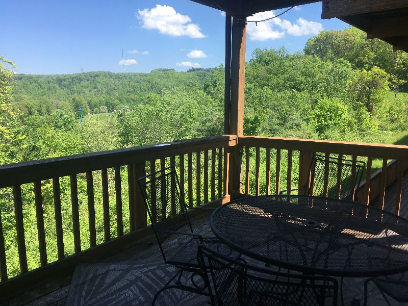 Condos at Winterplace between Beckley and Princeton, quiet with mountain views E306 - Photo 8