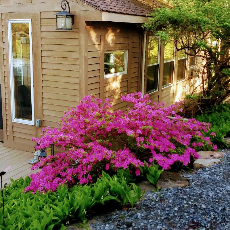 Apartment - Photo 2