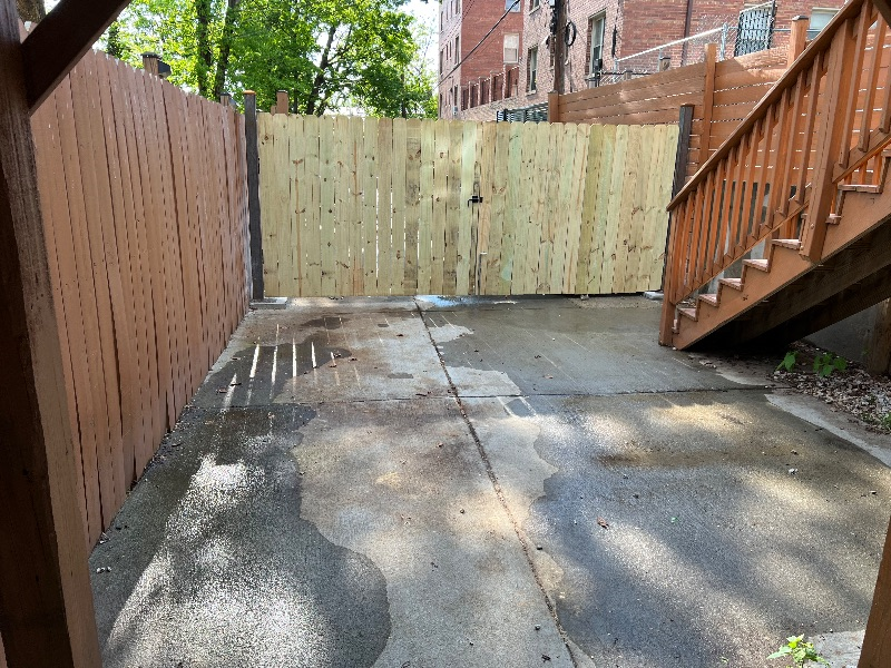 Beautiful, spacious 1BD english basement with full kitchen and private parking in great location - Photo 3
