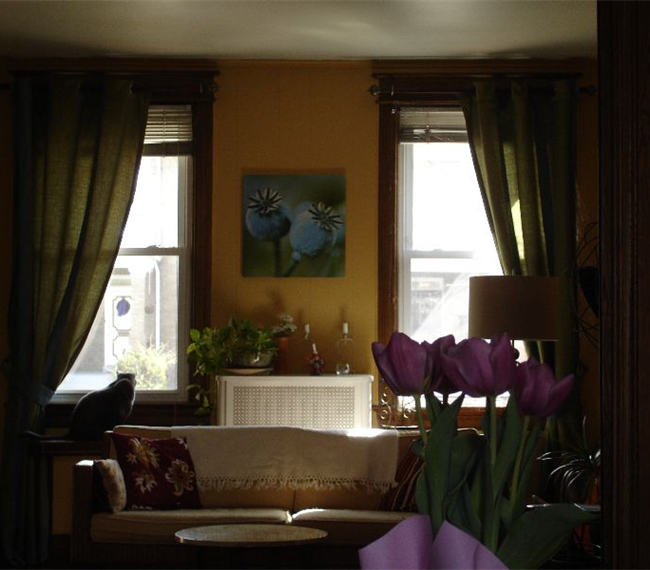 Private Room in a Restful House Easy Walking to  Hospitals for Nurses - Photo 3