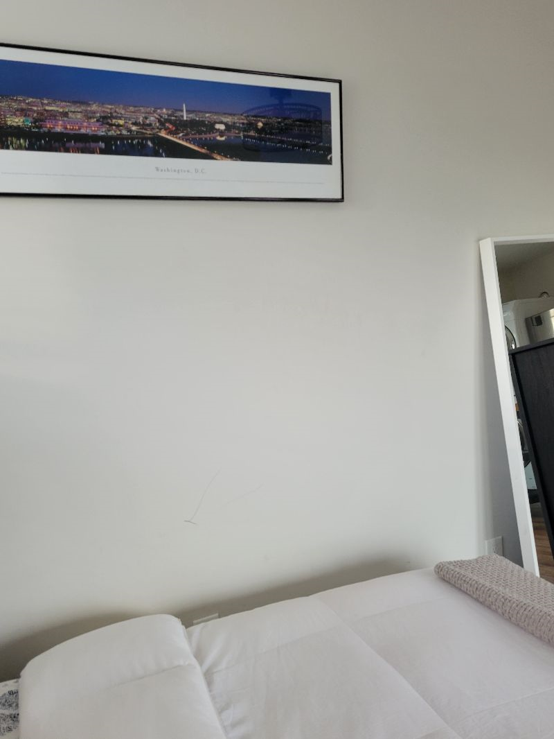 Cozy Private Suite - Photo 3