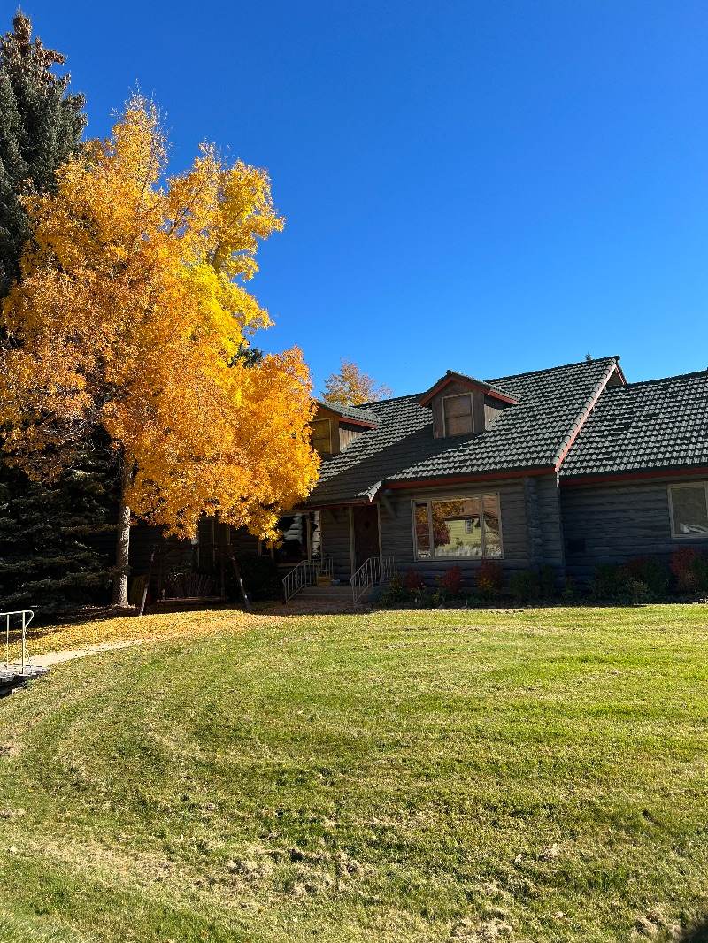 Creekside unit in town with country feel. Private and quiet - Photo 9