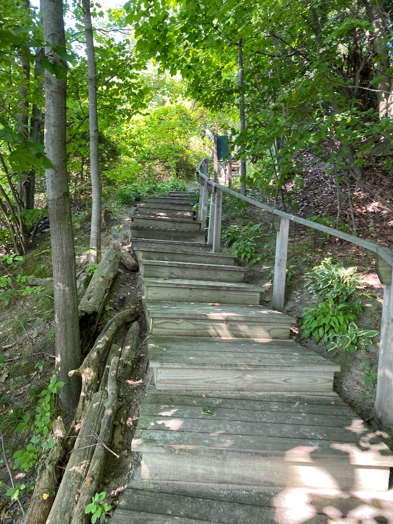 1 bedroom apartment near Burlington bike path - Photo 7