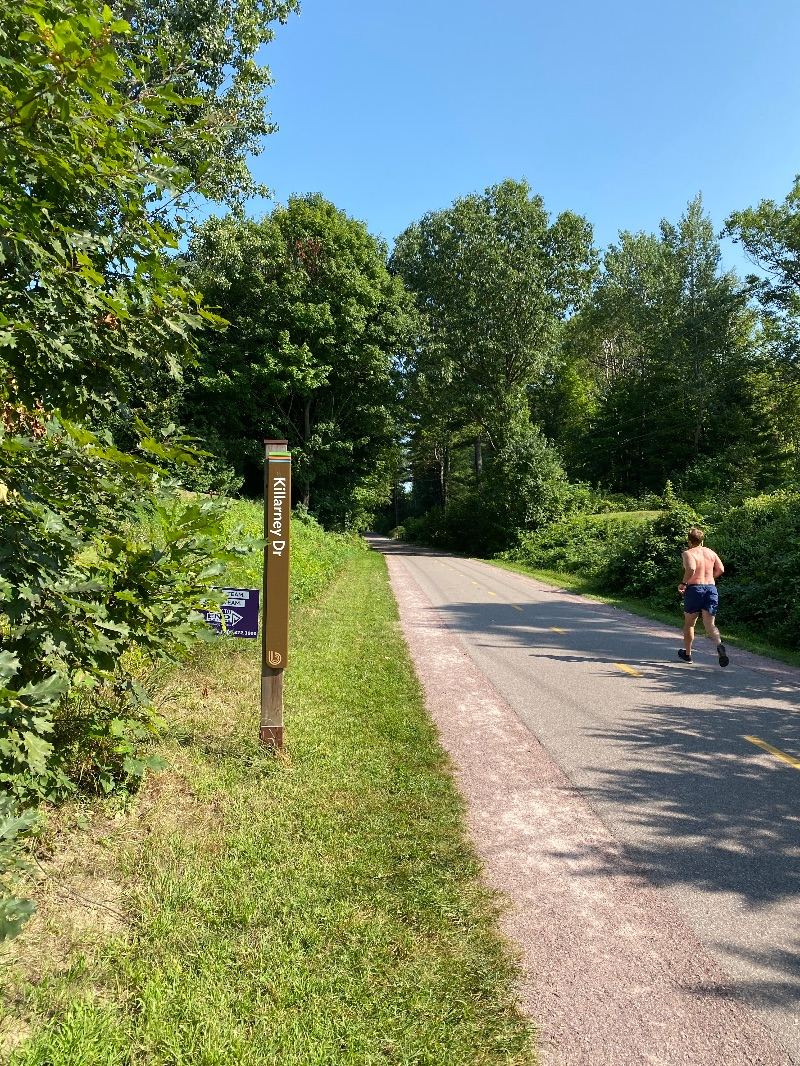 1 bedroom apartment near Burlington bike path - Photo 8