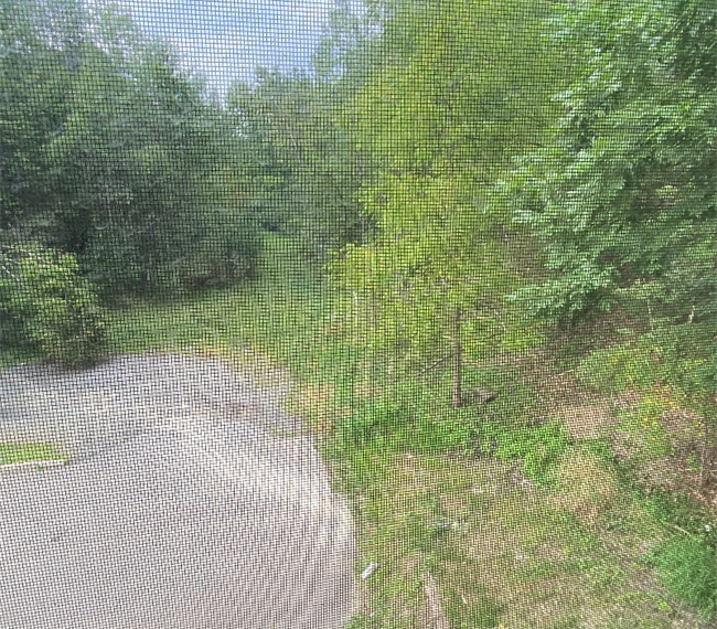 Peaceful bedroom 10 minutes from hospitals in quiet neighborhood - Photo 1