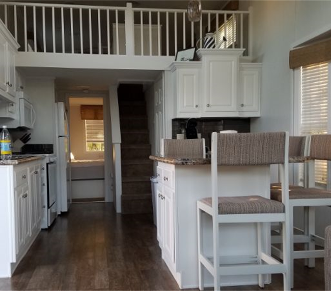 Camp Dogged Bird House Tiny Home - Photo 1