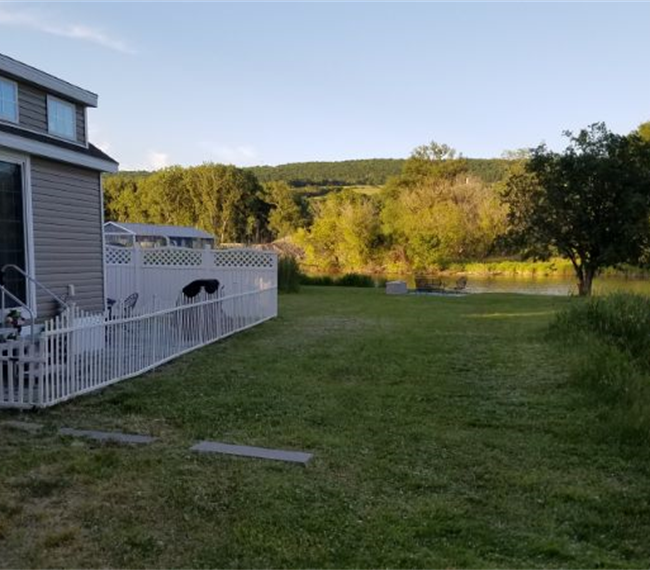 Camp Dogged Bird House Tiny Home - Photo 6