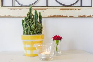 Cozy Homeva Kensico WP - Photo 12