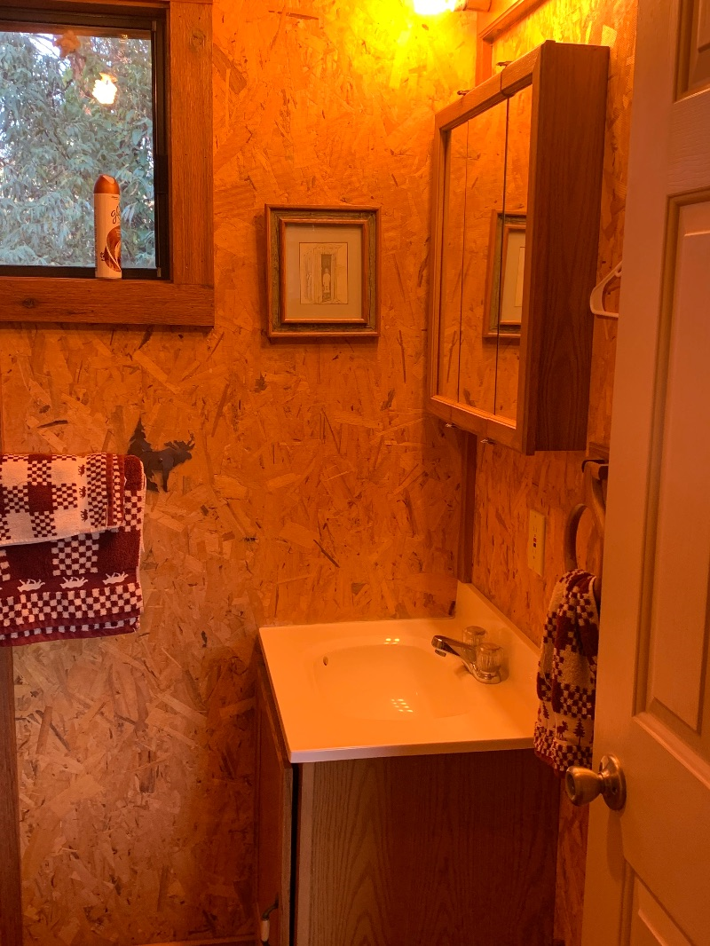 Cabin in the woods - Photo 5