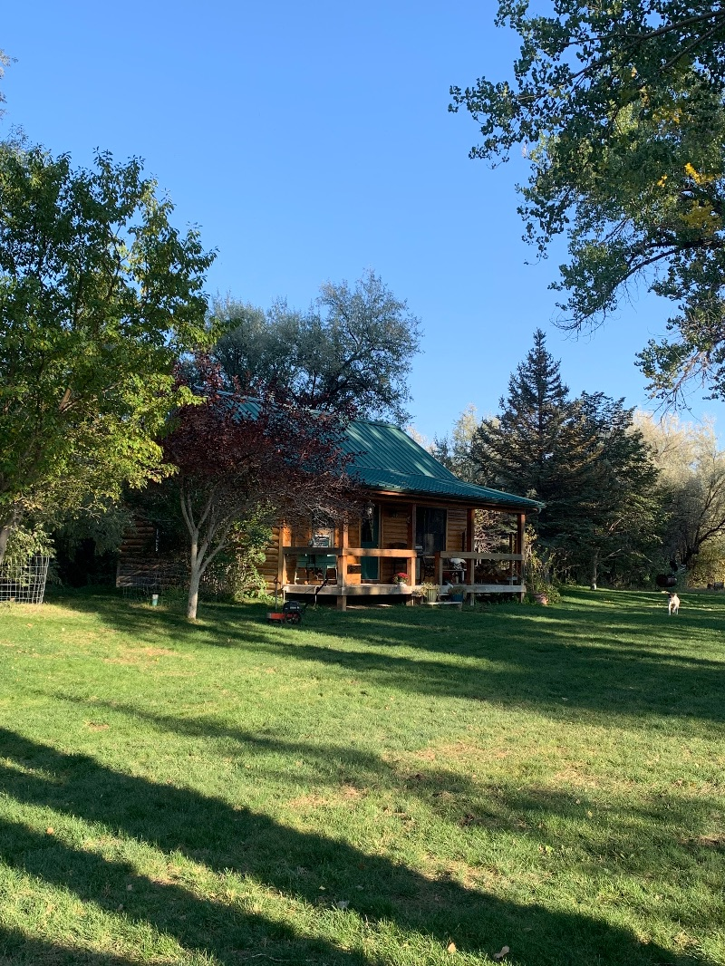 Cabin in the woods - Photo 1