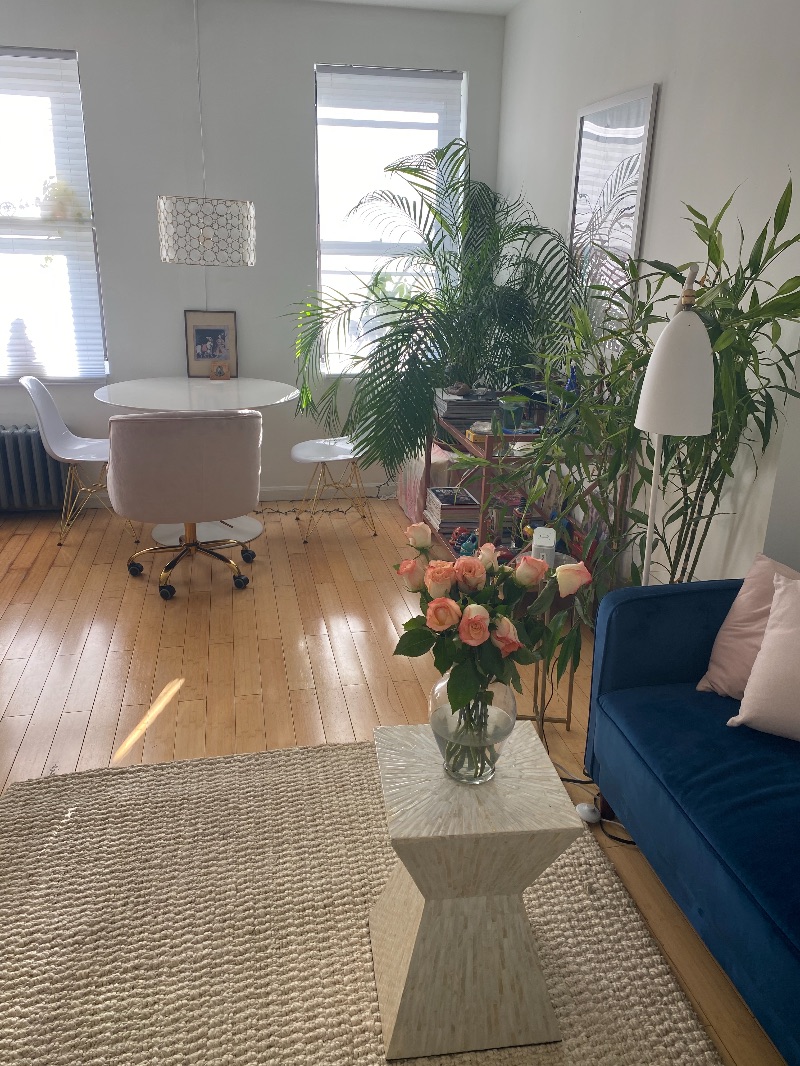 Beautiful apt ONE BLOCK from Bellevue/ Tisch/ Langone - Photo 8