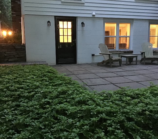 Private Apartment with Outdoor Space - Photo 1
