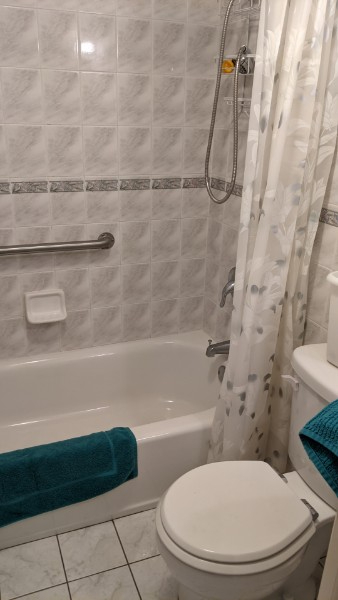 One Bedroom Apartment in Beautiful Brownstone  Brooklyn - Photo 4