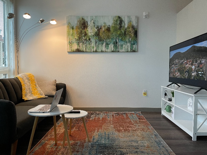 New Open Concept 1bdrm Near Hospitals/Auburn