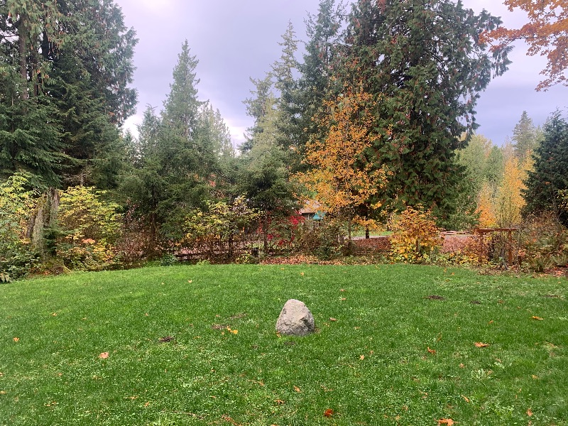 Studio in the forest --Ideal location - Photo 2