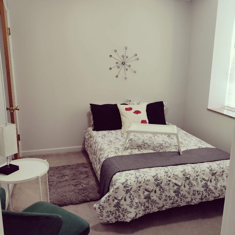 Lofty Views, BJC/SLUH, 2 bedrooms, Pet friendly, U