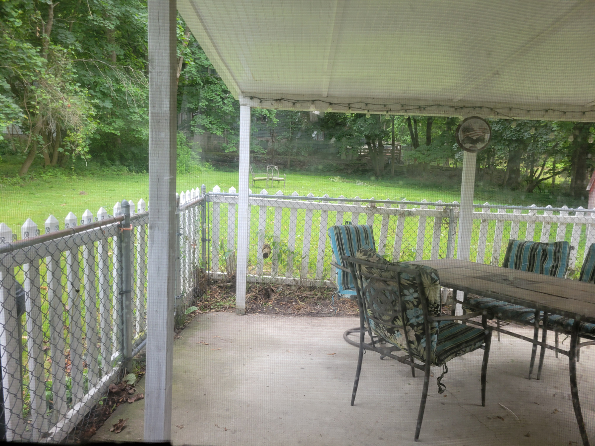 1.1 Stunning 1890s hardwoods, some Dogs OK. WD, parking - Photo 8