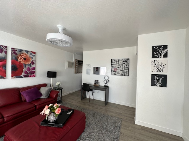 MULTIPLE NEW UNITS CLOSE TO HOSPITAL AND DOWNTOWN DOG FRIENDLY SOME WITH BACKYARD 1B