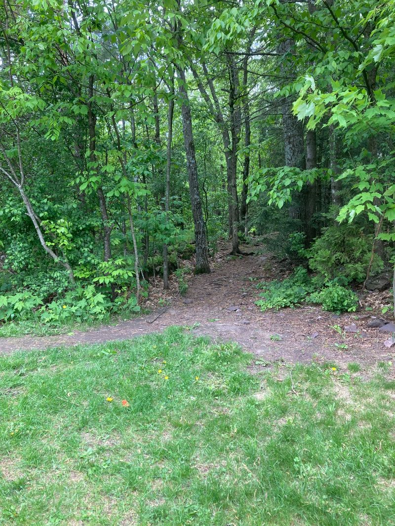 Spacious Room in Quiet Safe condo, great location! - Photo 12