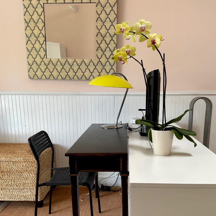 Cozy Westside Cottage - Photo 4
