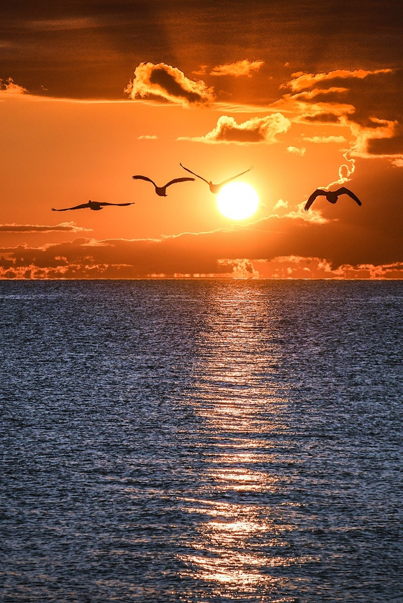 RARE & Ideal for Nature Lovers - Photo 1