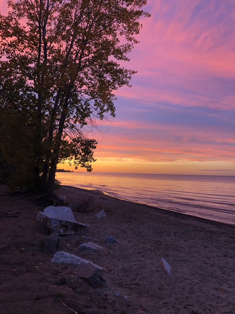 RARE & Ideal for Nature Lovers - Photo 8