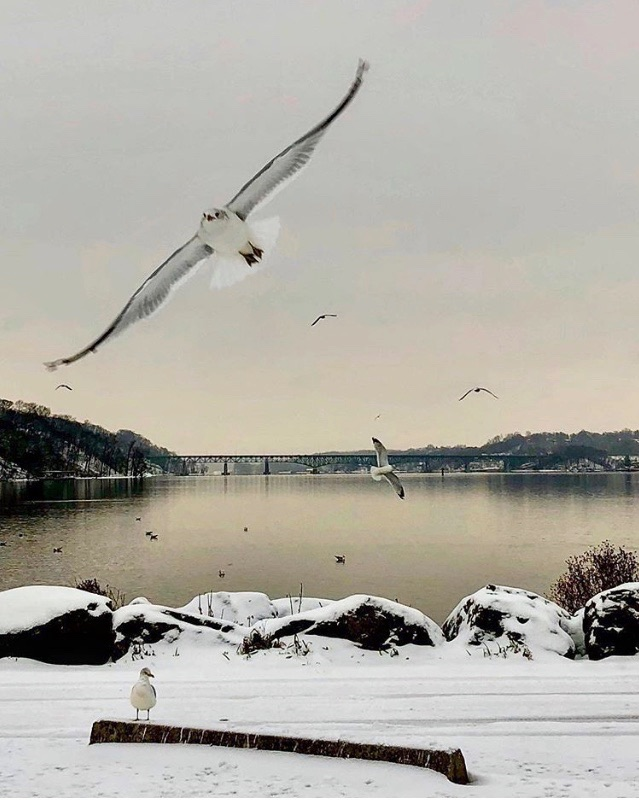 RARE & Ideal for Nature Lovers - Photo 11