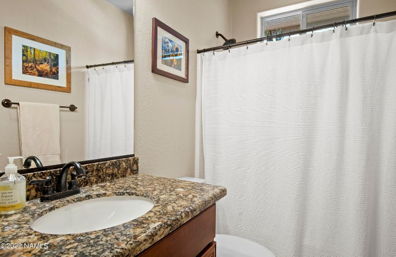 Entire Beautiful Home with a 1 Bedroom and Den (with queen sleeper sofa for guests) and Living Room, - Photo 9