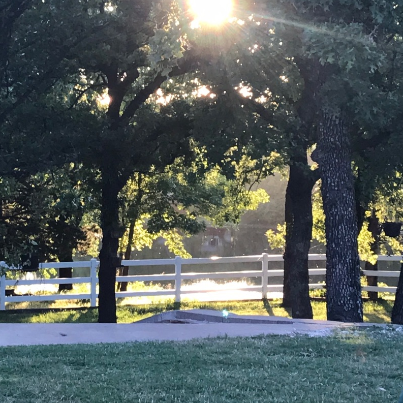 Ranch/lake 20 acres - Photo 3