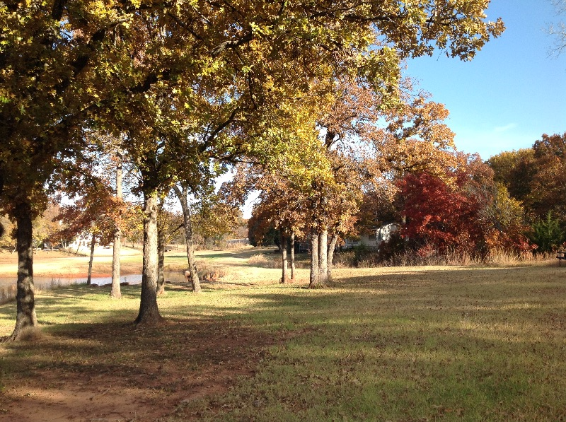 Ranch/lake 20 acres - Photo 8