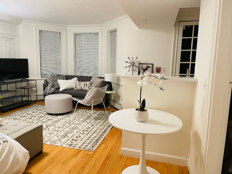 Stylish Back Bay - the Best of Boston Apt B
