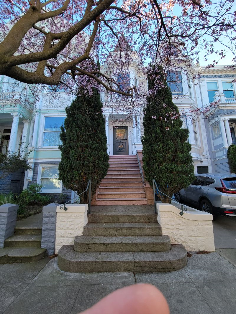 Beautiful room in Victorian home. Walking distance from UCSF and Saint Marys hospitals. - Photo 5