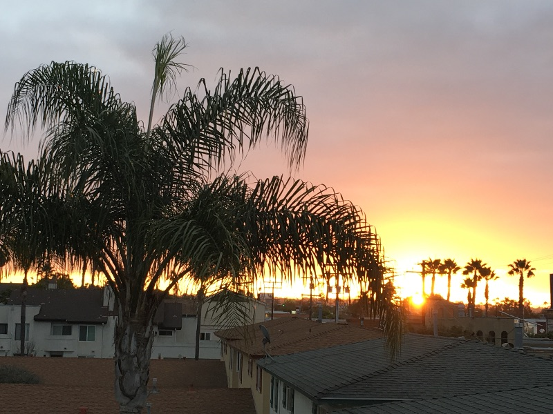 Luxury townhome in PB with sunset and sunrise views - Photo 1