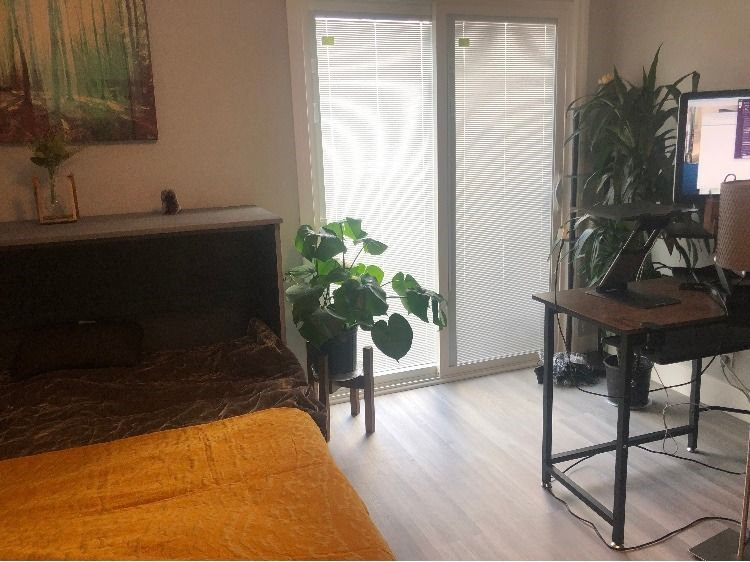 Beautiful, Modern House of Zen 1BD/1BA - with infrared Sauna and Patio - Photo 5