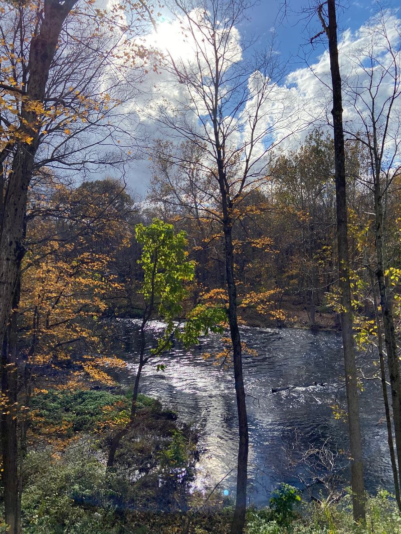Cozy Cottage Overlooking Stream - Photo 3