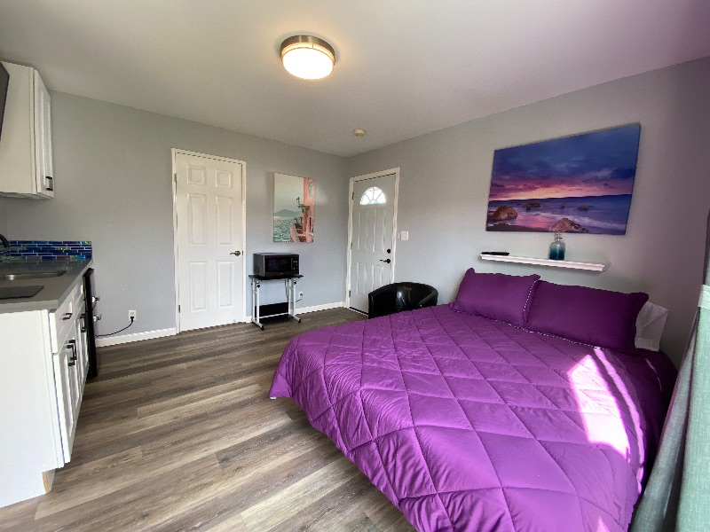 New UNIT Beautiful Studio Apartment in Nice Neighborhood - Photo 3
