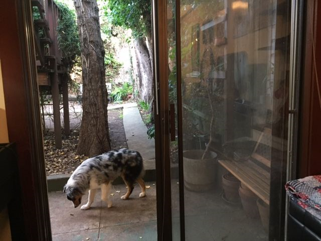 GREAT LOCATION, near Precita Park and Bernal Hill. Small but quaint fully FURNISHED studio apartment on the ground level of a single... - Photo 5
