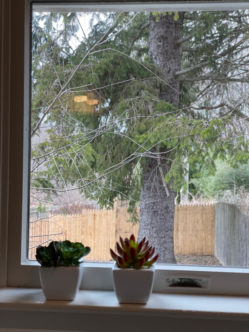 Lovely Apartment in quiet Neighborhood - Photo 12
