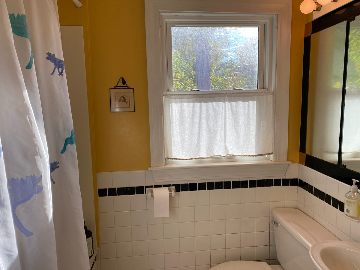 Bright, quiet, cozy cape with backyard in Burlington's South End - Photo 6
