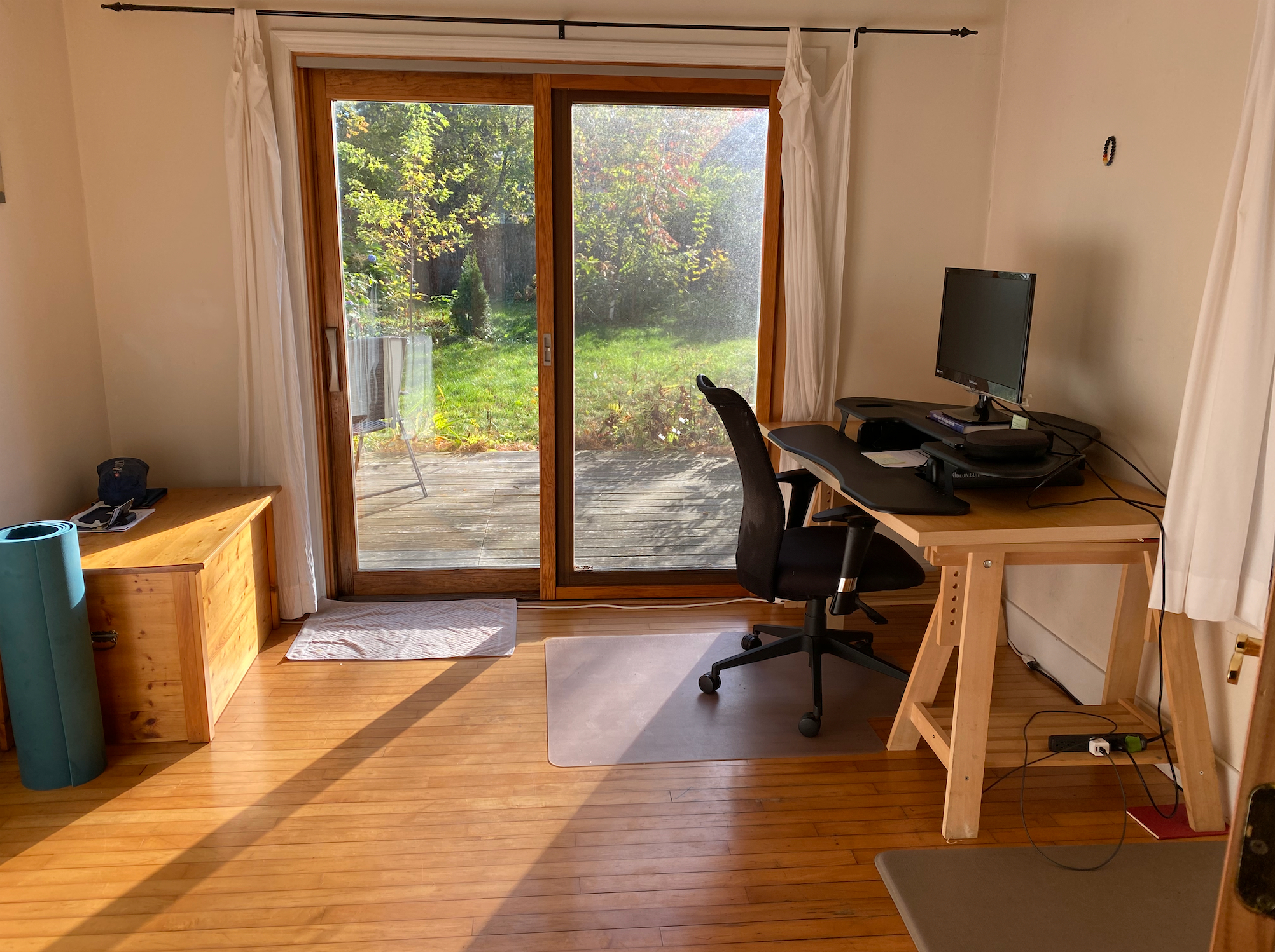 Bright, quiet, cozy cape with backyard in Burlington's South End - Photo 3