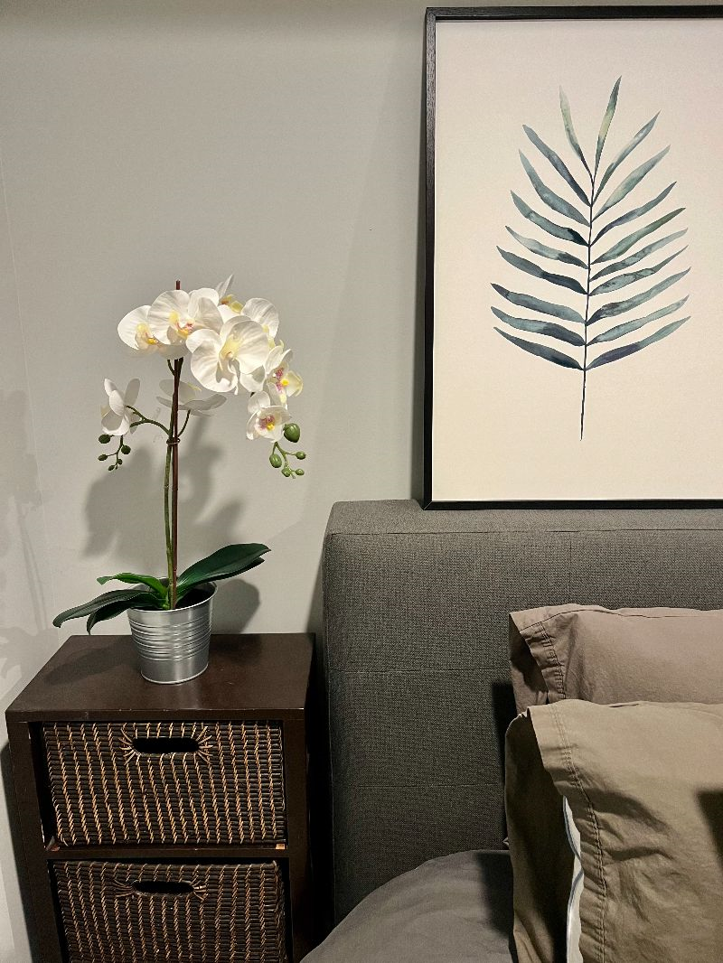 Recently Remodeled English Basement - Short walk Medstar WHC, NRH, Children's and VA - Photo 9